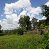 0.5 ac Residential Land in Thome thumb 6