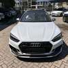 Audi Quattro SQ5 S-Line white 2019 thumb 0
