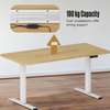 Office Desks: Electrical Adjustable Desk thumb 0