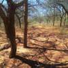 64 acres along Makindu-Wote Road Makueni County thumb 3