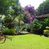 FOR SALE – PRESTIGIOUS PROPERTY LAVINGTON, NBI (0.8 ACRES) thumb 3
