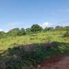Residential Land at Mtondia Kilifi thumb 2
