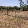 100*100ft plot for sale touching Kenol Marua highway thumb 5