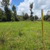 0.125 ac Land at Matasia thumb 1