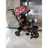 Generic Push Tricycle With Canopy Protective Bar thumb 1