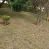 0.25 ac Land in Thika thumb 4