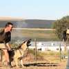Dog training and behaviour specialists Karen Runda Nyari thumb 8