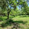 2.5 ac Land at Serena thumb 31