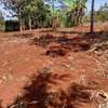 Kenol town commercial/residential plots for sale thumb 4