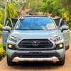 Toyota RAV4  Adventure hybrid 2019 Green thumb 11