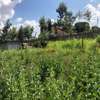 0.1 ha Residential Land in Kikuyu Town thumb 4