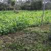 500 m² residential land for sale in Ongata Rongai thumb 1