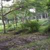 80,940 m² Commercial Land in Kwale County thumb 2