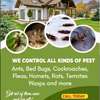 Fumigation Services thumb 2