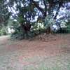 1.1-Acre Plot For Sale in Kyuna thumb 2