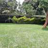 2 Bed House with Garden in Nyari thumb 17