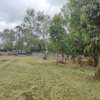 1/2 acre for sale Karen off ndege road thumb 5