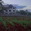 Residential Land at Adjacent To Muhasibu Estate thumb 12