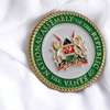 Standard National Assembly of Kenya Lapel Pinbadge thumb 0