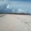 50-Acre Beach Plot For Sale in Bofa/Kilifi thumb 2