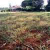 Residential Land at Nyari Estate thumb 9