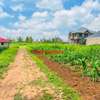 0.05 ha Residential Land at Kamangu thumb 11