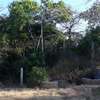 30,353 m² Commercial Land in Mtwapa thumb 4