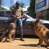 Mobile Dog Grooming in Nairobi - Professional Pet Groomers thumb 11
