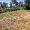 0.05 ha Residential Land at Ondiri thumb 14