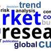 Market / Business Research Services thumb 0
