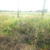 4 Acres Touching Makindu-Wote road Available For Sale thumb 3