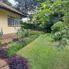Unique 4 Bedrooms House In Spring Valley Peponi road thumb 12