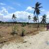 Commercial Land in Vipingo thumb 8