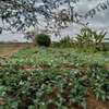 30 acres of land for sale in Makindu Makueni County thumb 0