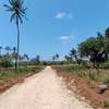Prime Tropical Land Plot Cleared for Building thumb 2