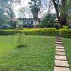 Lavington -Prime commercial premises for rent. thumb 6