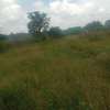 2 Acres Available For Sale in Makindu town, Masalani Area thumb 0