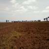 41 Acres of Land For Sale in Timau thumb 4