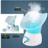 Benice Electric Facial Sauna Steaming Hydration Machine, Vaporizer thumb 1