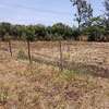 QUARTER ACRE LAND FOR SALE AT KENOL TOUCHING HIGHWAY. thumb 8