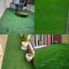 pleasing grass carpet ideas thumb 0