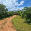 13 acres available 5-7 minutes drive from Galu Beach thumb 2