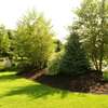 Landscaping Services in Kenya.Low Cost Garden Maintenance thumb 9