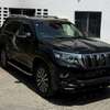Toyota Landcruiser TZG thumb 1