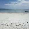20-Acre Beach Plot For Sale in Kikambala thumb 2
