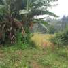 10 ac Land at Thindigua thumb 12