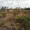 20 ac Land at Namanga Rd thumb 7