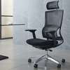 Office Chair: Orthopedic Mesh Seat thumb 0