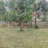 1/2 acre for sale Karen off ndege road thumb 6