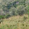 Land in Narok thumb 9